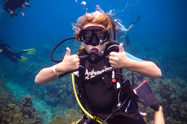 Roatan Elite Combo: Dolphin Swim & Snorkel+ Monkey & Sloth Hangout