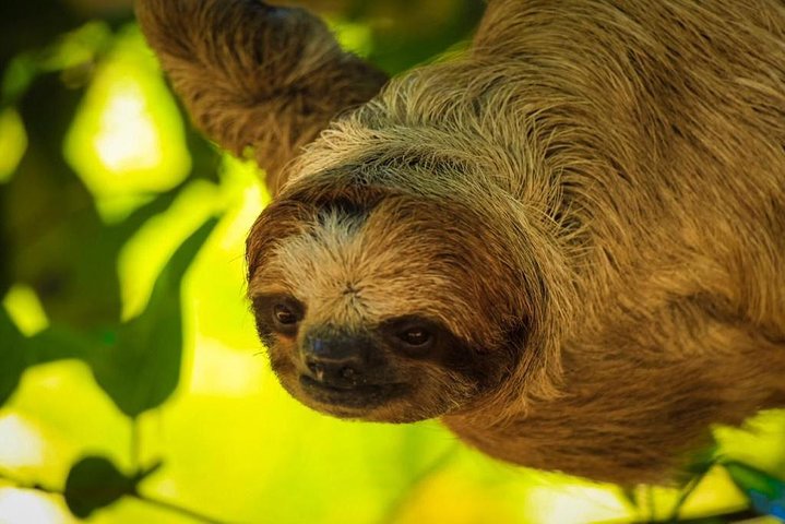 wildlife tour in roatan