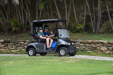 Roatan Golf Cart Shore Excursion: Monkey Sloth Hangout & Private Beach Escape