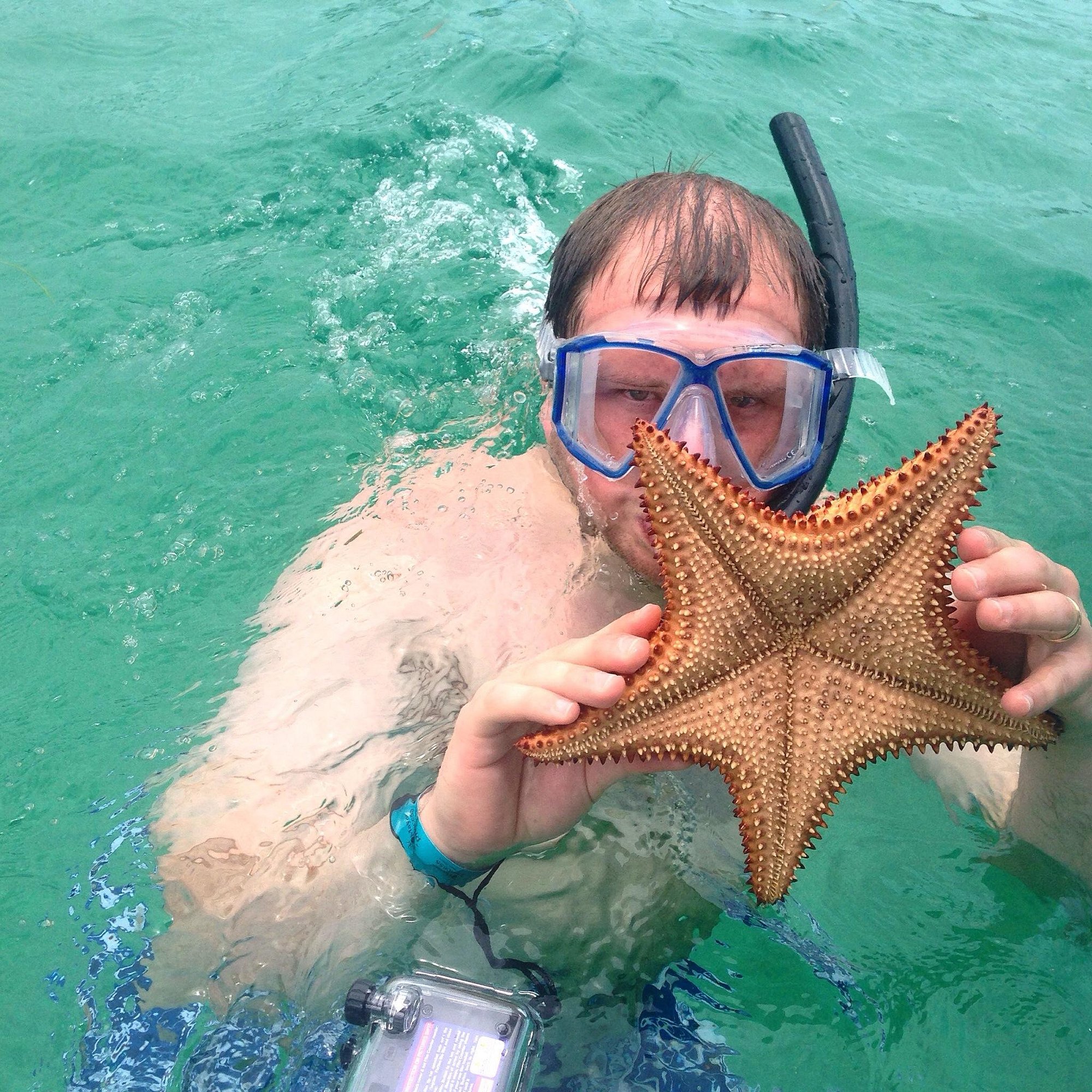 Roatan Triple Adventure: Zipline Canopy + Monkey & Sloth Encounter + Mesoamerican Reef Snorkel