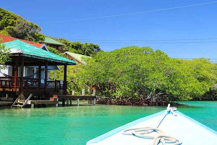Roatan Beach Day Pass : Monkey Sloth Hangout, Snorkeling, Kayak