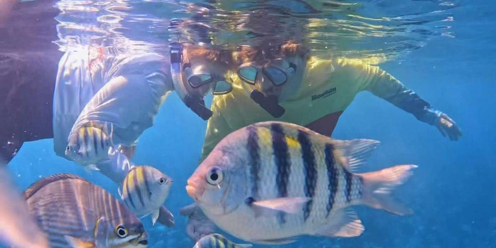 Roatan Dolphin Triple Treat: Swim & Snorkel, Sloth Hangout + ATV Buggy Jungle Adventure
