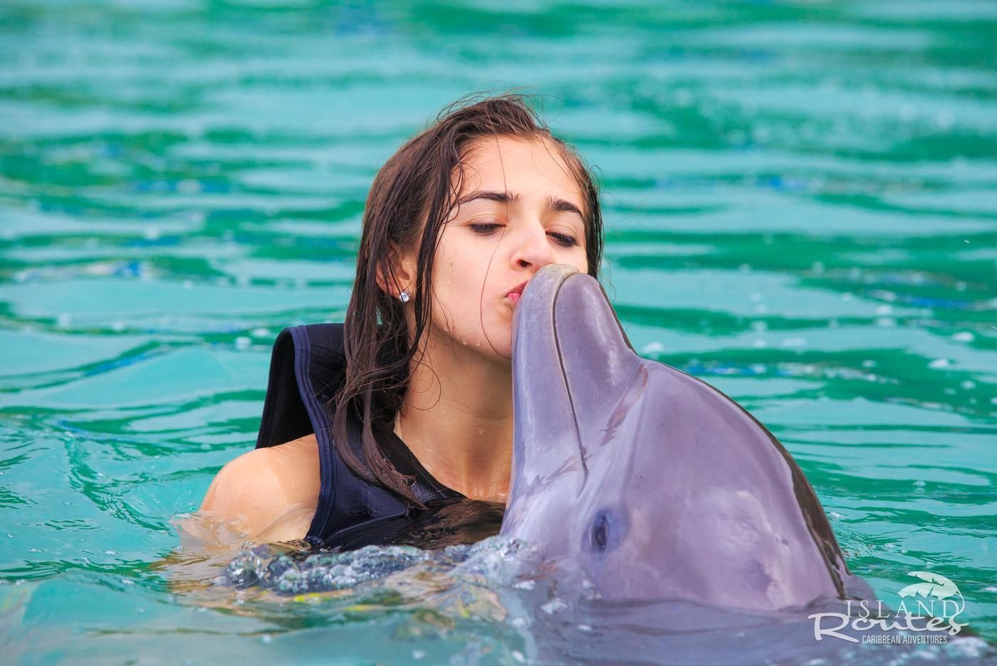 Roatan Private Dolphin Encounters | VIP Swim & Interaction