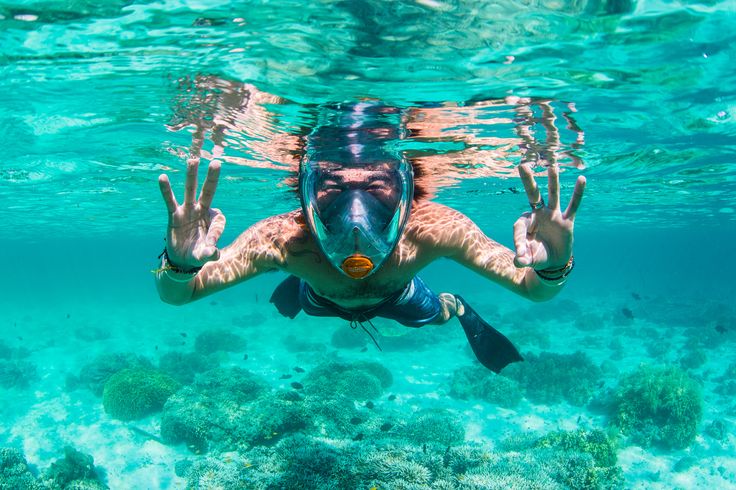 Roatan Snorkeling Tours